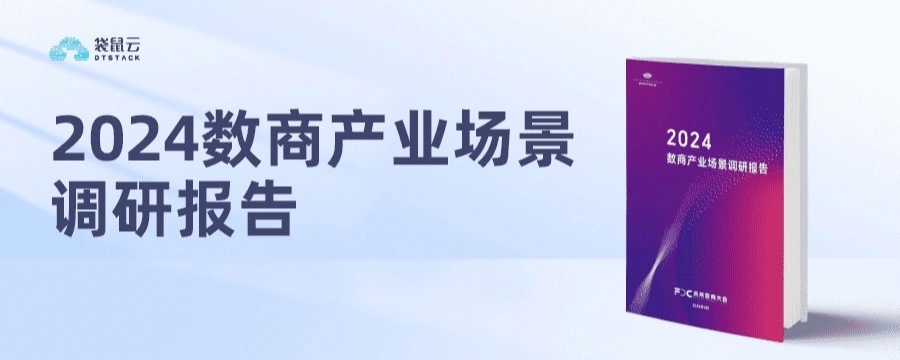 2024数商产业场景调研报告